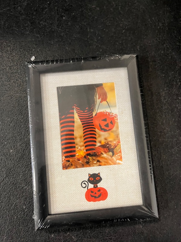 Photo 1 of FRAME Jack and cat portrait
