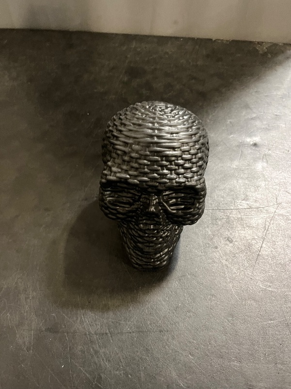 Photo 1 of Hyde and eek decorative black skull