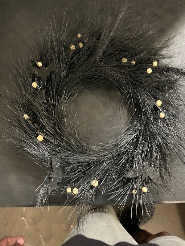 Photo 1 of hyde and eek wreath black 22'