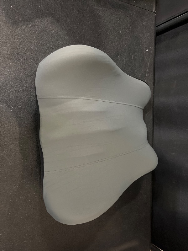 Photo 1 of Kasney Lumbar Support Pillow, Memory Foam Lumbar Pillow for Lower Back Pain Relief, Back Support Pillow for Office Chair, Car Seat- white
