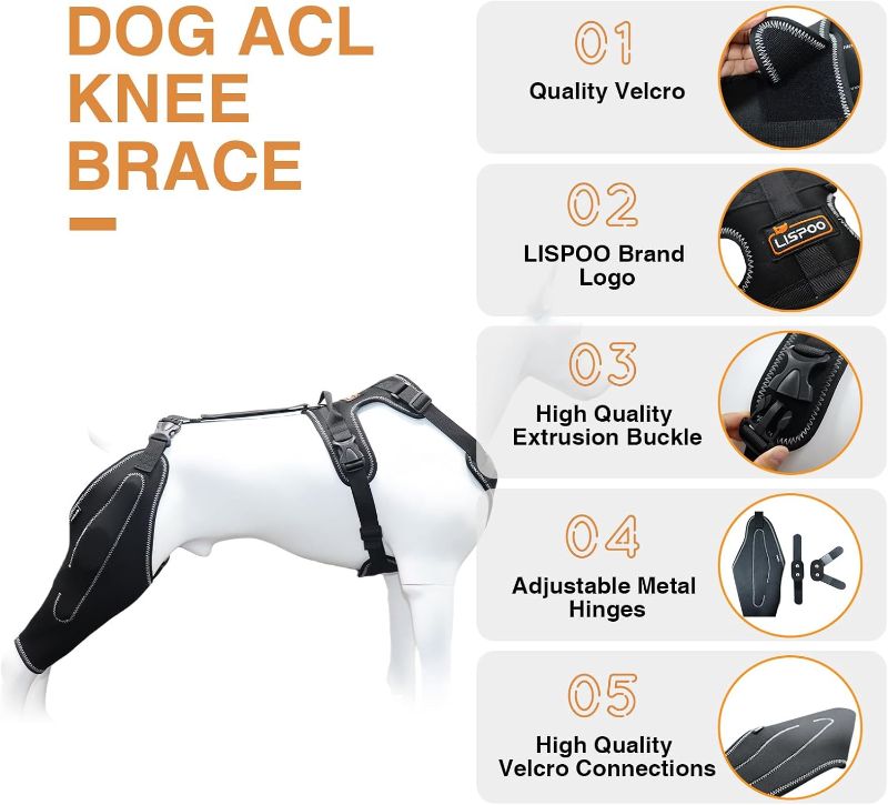 Photo 1 of Dog Knee Brace for Torn ACL, Luxating Patella, Arthritis Support, Metal Splint Hinged Leg Brace for CCL Injury, L Size