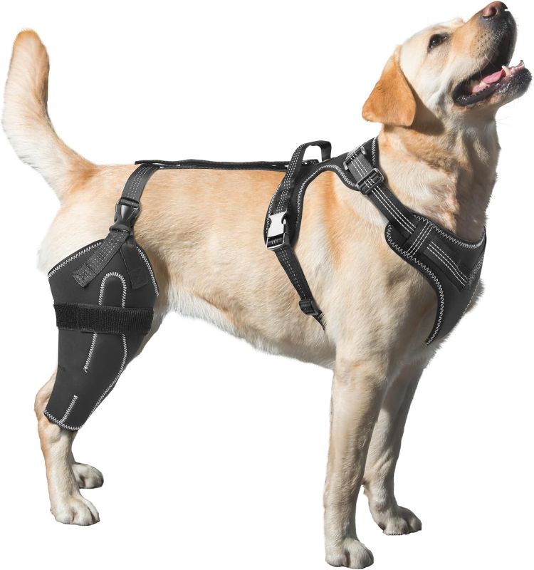 Photo 1 of Dog Knee Brace for Torn ACL, Luxating Patella, Arthritis Support, Metal Splint Hinged Leg Brace for CCL Injury, L Size