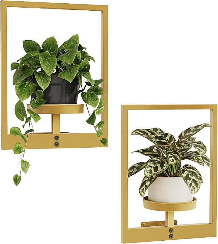 Photo 1 of Bamworld Golden Plant Stand Indoor, Plant Hanger Wall Planters for Indoor Plants Window Plant Shelves Plant Holder Wall Decor, Room Decor (Patent Design)