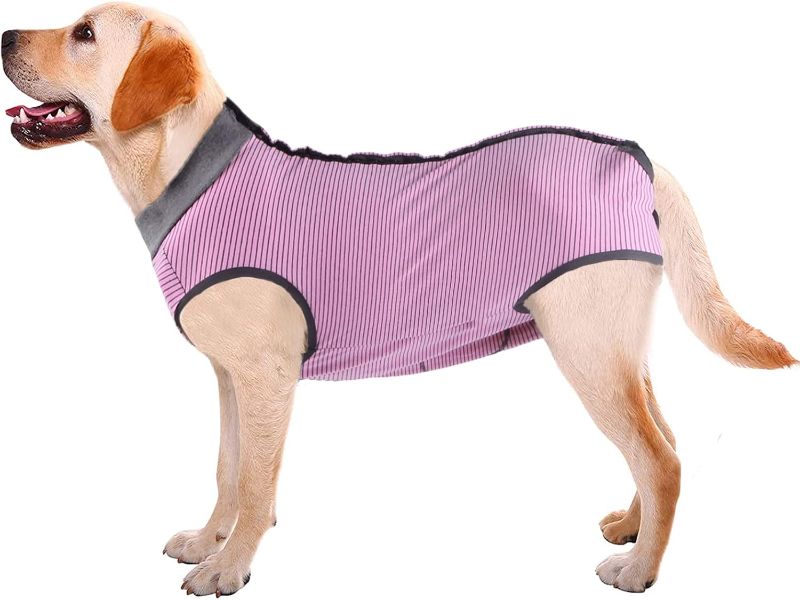 Photo 1 of Small Dotoner Dog Recovery Suit Abdominal Wound Puppy Surgical Clothes Post-Operative Vest Pet After Surgery Wear Substitute E-Collar & Cone