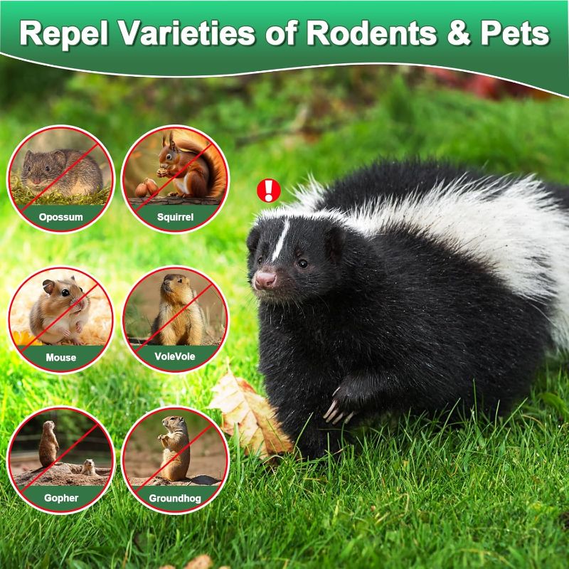 Photo 1 of 24 Pack Natural Skunk Repellent Balls - Peppermint Oil Mice Balls to Repel Rodents, Mice, Rats, Squirrel, Mice Repellent Indoor Outdoor for House Garage Basement RV Car