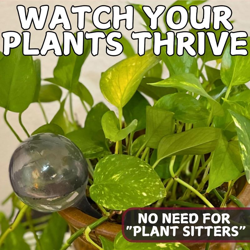 Photo 1 of Water Globes for Watering Plants Automatically - Shatterproof & Weatherproof Self-Watering Stakes - Water Bulbs for Indoor & Outdoor Plants - Keeps Soil Moist & Plants Happy