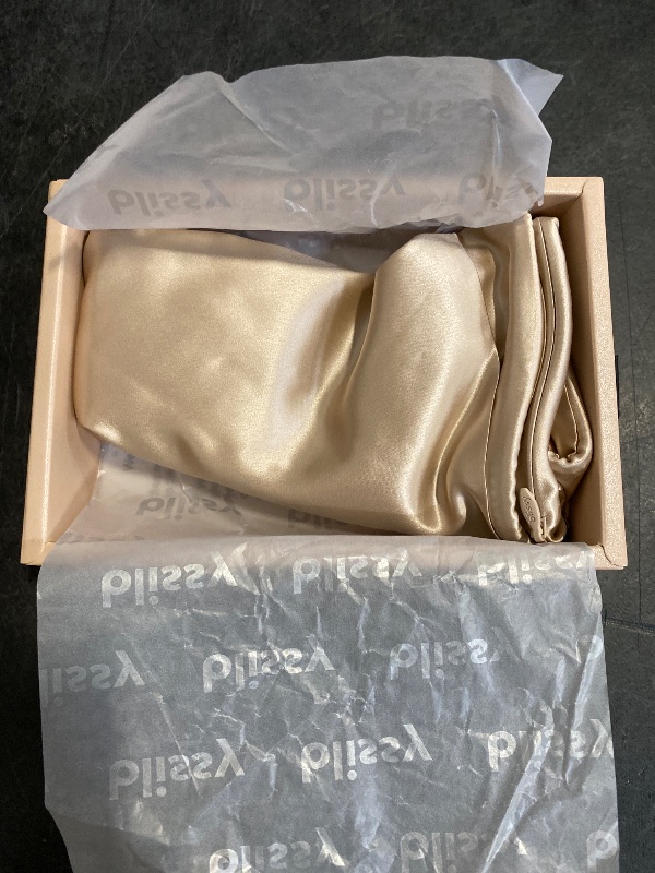 Photo 1 of Blissy Silk Pillowcase - 100% Pure Mulberry Silk - 22 Momme 6A High-Grade Fibers - Silk Pillow Cover for Hair & Skin - Regular, Queen & King with Hidden Zipper (Standard, Champagne)