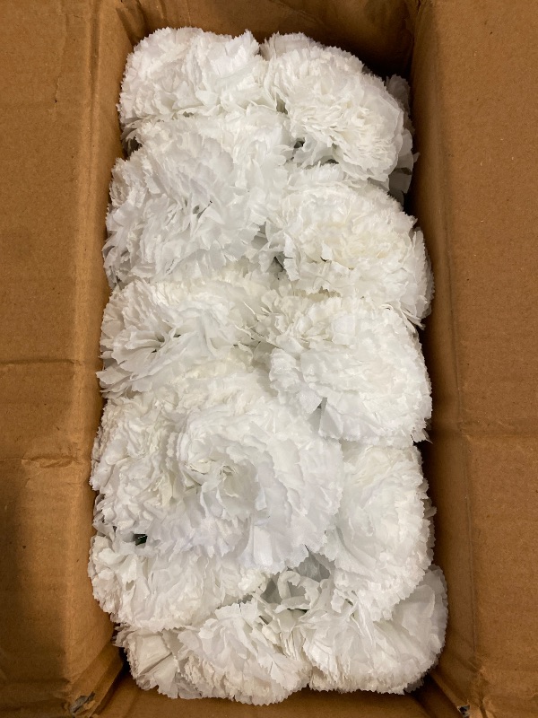 Photo 1 of Royal Imports Artificial Carnations, Silk Faux Flowers, for Funeral Arrangements, Wedding Bouquets, Cemetery Wreaths, DIY Crafts - 100 Single 5" Stems - White