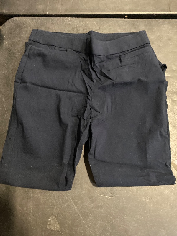 Photo 1 of Size 14 - Briggs New York Pull On Dress Pant Average Length & Short Length, Brown, 14