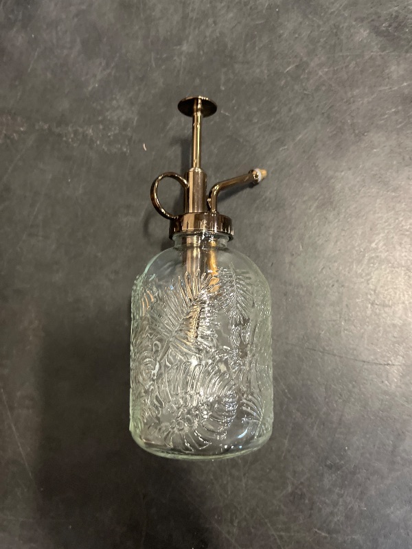 Photo 1 of SDlumeiy 11.8 Ounce Glass Plant Spray Bottle, Glass Leaf Print One Handed Watering Can with Antique Brass Plastic One Handed Top Pump, 7.6 Inch Tall Indoor and Outdoor Plant Small Spray Bottle (Clear)