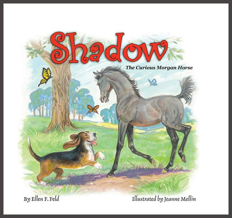 Photo 1 of Shadow: The Curious Morgan Horse Hardcover
