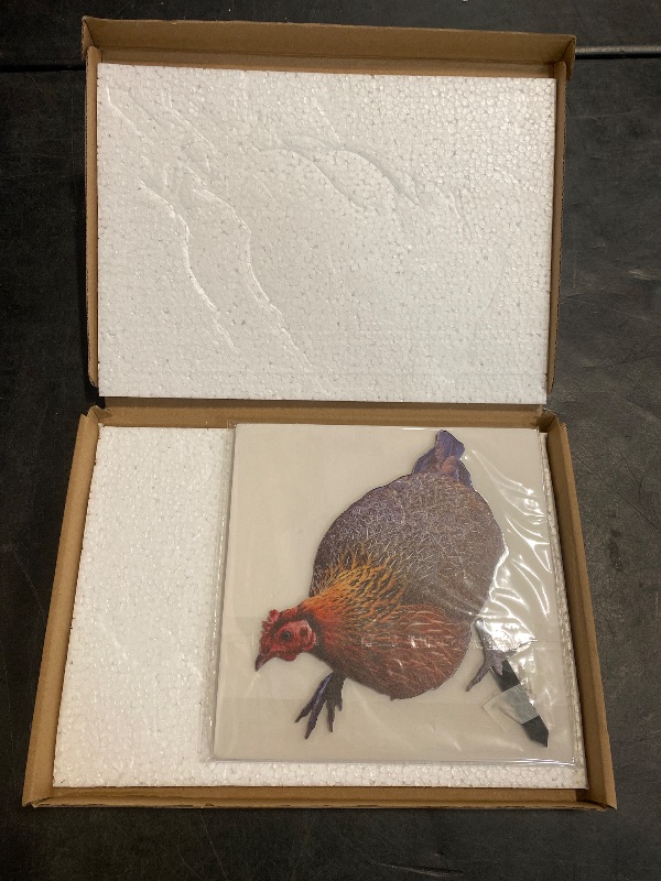 Photo 1 of VINTORKY 2Pcs Garden Chicken Stakes Decorative Acrylic Chick Signs for Outdoor Patio and Animal Stakes Chicken Decor for Lawn and Garden Decoration