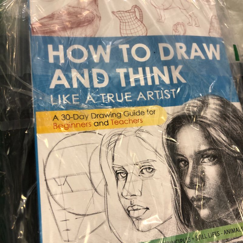 Photo 1 of How to draw and think like a true artist: A 30-day Drawing Guide - From the Fundamentals to Step-by-Step Instructions with Detailed Illustrations and Comprehensive Explanations