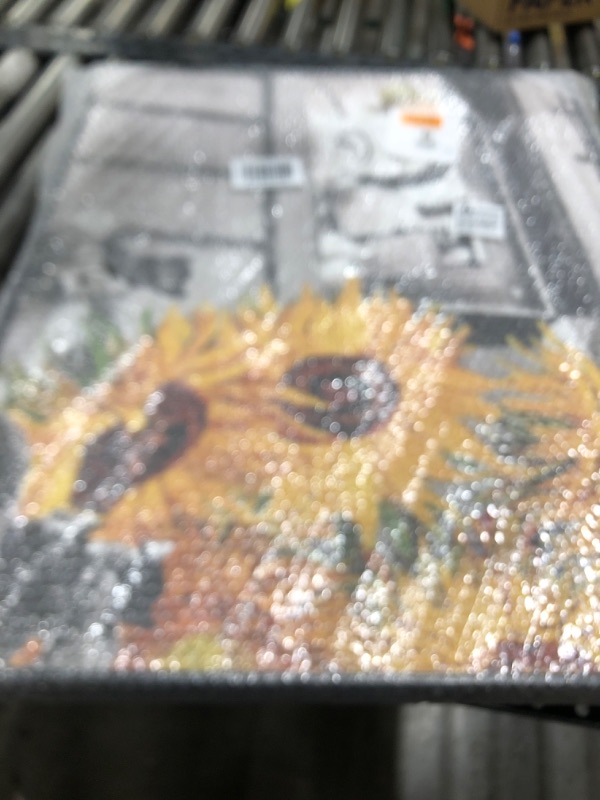 Photo 1 of Stupell Industries Classic Van Gogh Sunflowers & Paparazzi Collage Painting, Design by Barry Kite