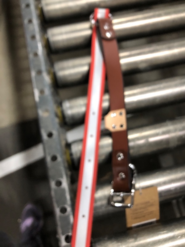 Photo 1 of REFLECTIVE COLLAR 