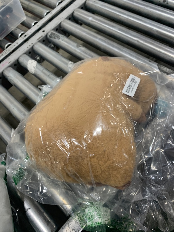 Photo 1 of Simgoing 13 Inch Capybara Stuffed Animals Capybara Plush Toy Soft and Comfortable Brown Doll Pillow for Girls and Boys, Home Decoration, Birthday Gift(Snot)