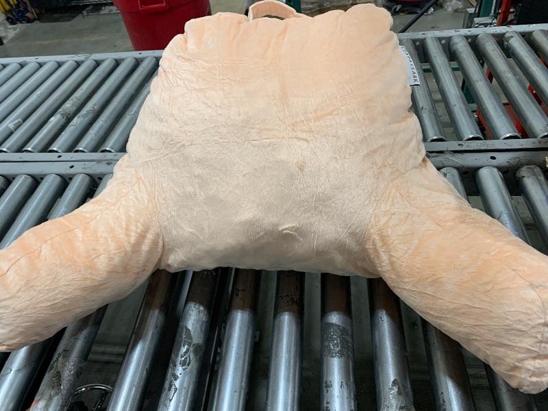 Photo 1 of READING PILLOW 