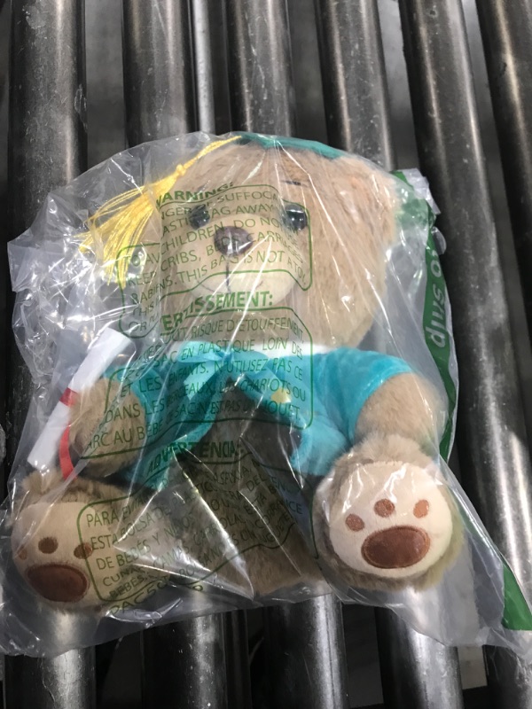 Photo 1 of SMALL GRADUATION TEDDY BEAR