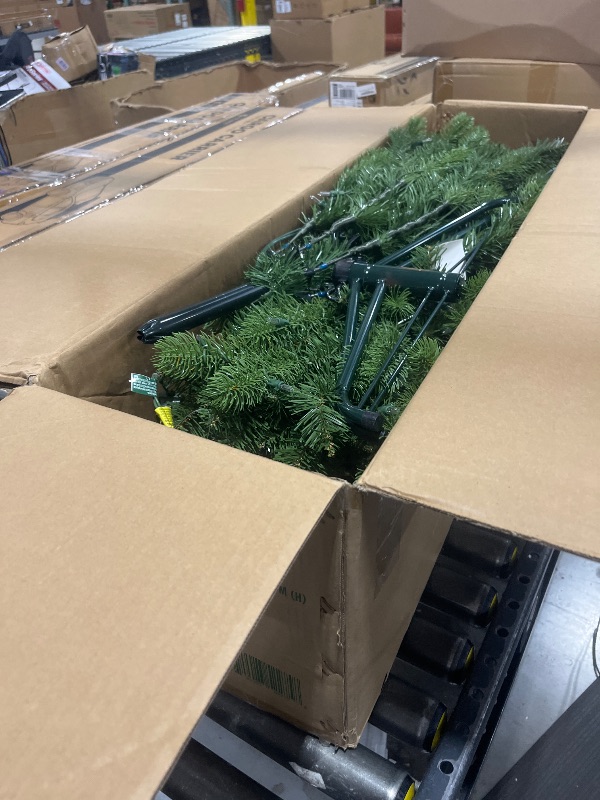 Photo 1 of National Tree Company Pre-Lit 'Feel Real' Artificial Slim Downswept Christmas Tree, Green, Douglas Fir, White Lights, Includes Stand, 7.5 feet