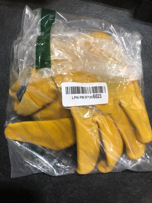 Photo 1 of TWO GLOVES 
