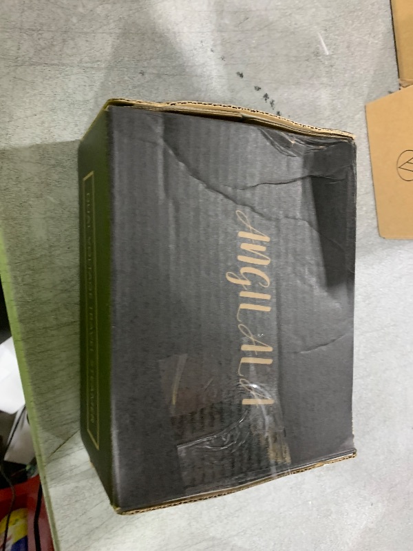 Photo 1 of ANGILALA Travel Steamer for Clothes for International Travel