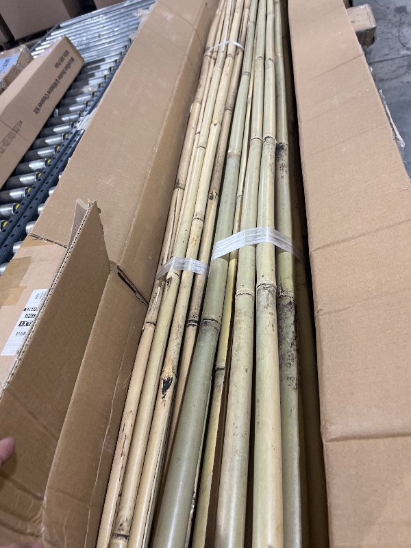 Photo 1 of Jollybower 1" D 8 Feet Bamboo Stakes 50 Pack, Thicker Heavy-Duty Plant Stakes, Natural Garden Stakes for Bean, Tomato, Bean, Flowers,Trees Potted and Climbing Plant Support