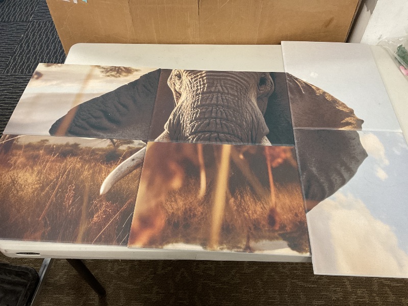 Photo 1 of ENSEPST 9 Pack Wall Art Acoustic Panels,48" X 36"Sound Absorbing Panels, Decorative Sound Dampening Panels, Acoustic Treatment for Studio Home and Office ?elephant?