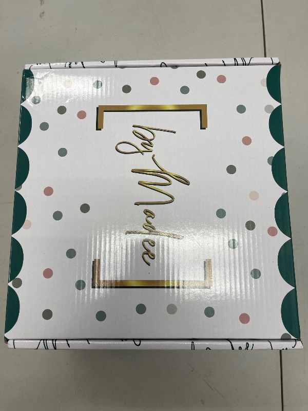 Photo 1 of By Madee Heavyweight 175 Pc Disposable Christmas Plates and Napkins Set with Cutlery | Ivory with Green Trim | Elegant Plastic Dinnerware for 25 Guests