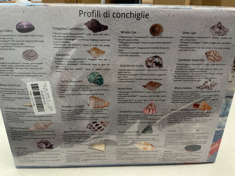 Photo 1 of QianCannaor Advent Calendar 2024 Crystals for Kids with 24 Days Christmas Countdown Surprises, Natural Mineral & Rock Stone for Learning, Collection, Scientific Gift for Girls & Boys & Geology Enthusiasts (Seashell Advent Calendar 2024)