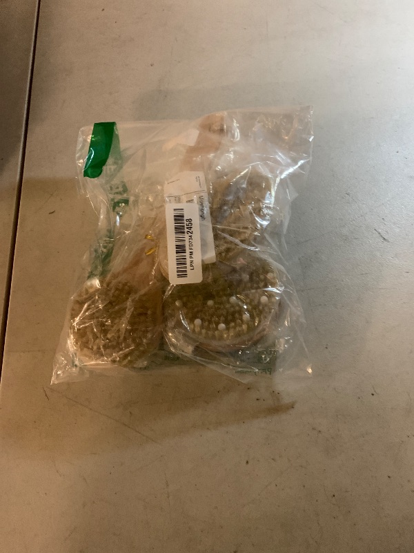 Photo 1 of 4 Pcs Dry Brush Set, Dry Brushing Body Brush for Lymphatic Drainage, Dry Brush for Body Lymphatic Drainage, Dry Body Brush, Body Dry Brush, Skin Brush for Dry Brushing, Dry Brushes