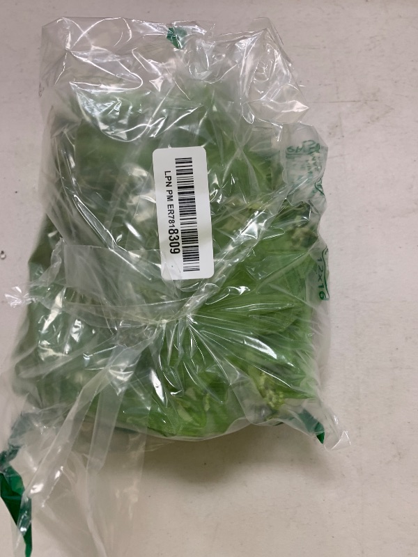 Photo 1 of 100Pcs Fruit Protection Bags, 4×6inch Fruit Netting Bags for Fruit Trees, Green Fruit Netting Cover Drawstring Mesh Bags Pest Barrier for Strawberry Blueberry Small Fruit