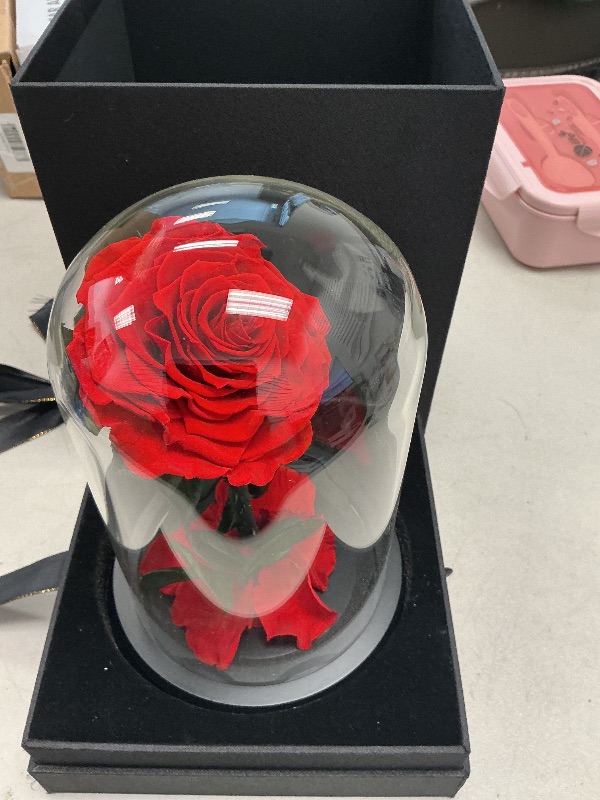 Photo 1 of YNZLLDLWEF Forever Preserved Red Rose -Beauty and The Beast Roses for Mum - Flowers in Glass Balls - Eternal Preserved Roses for Ladies - Eternal Roses in a Glass Dome