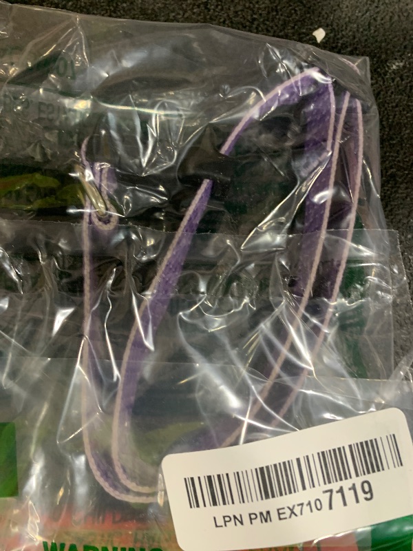 Photo 1 of LupinePet Eco 3/4" Lilac 13-22" Adjustable Collar for Medium and Larger Dogs