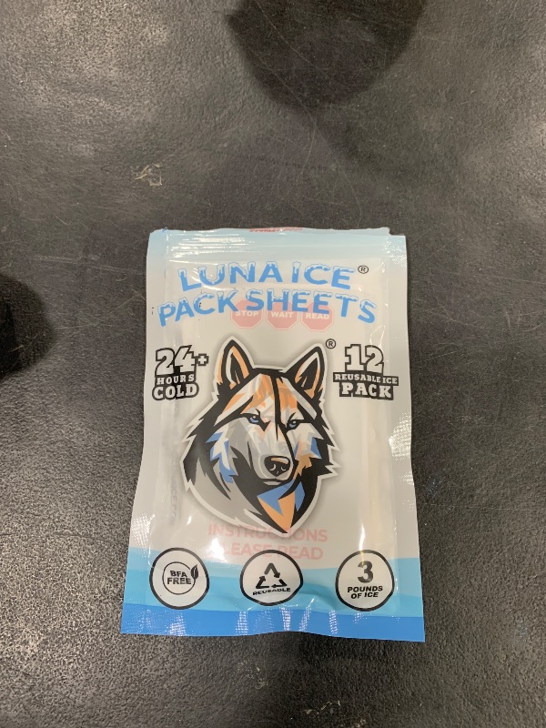 Photo 1 of Dry Ice Packs for Shipping - Long Lasting ice Packs - 24+ Hour Freeze Power - BPA Free - 12 Pack Bulk 3 lb – Hielo Seco - Reusable Gel Bricks for Food