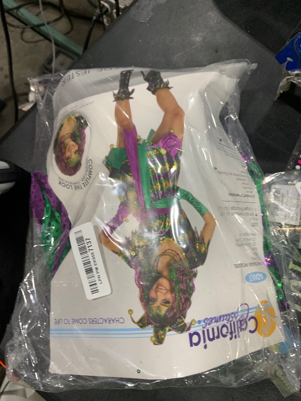 Photo 1 of California Costumes Mardi Gras Outfit Jester