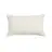 Photo 1 of Stella Faux Silk Velvet Embroidered Romantic Western 14x24 inch Lumbar Pillow
