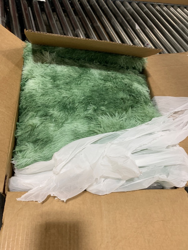 Photo 1 of 5x7 Fluffy Fuzzy Area Rug for Living Room Bedroom, Ultra Soft Rugs for Living Room, Modern Shaggy Carpets Rug for Boys Girls Dorm Nursery Home Decor Aesthetic, Upgrade Non-Slip Durable, Tie-Dyed Green