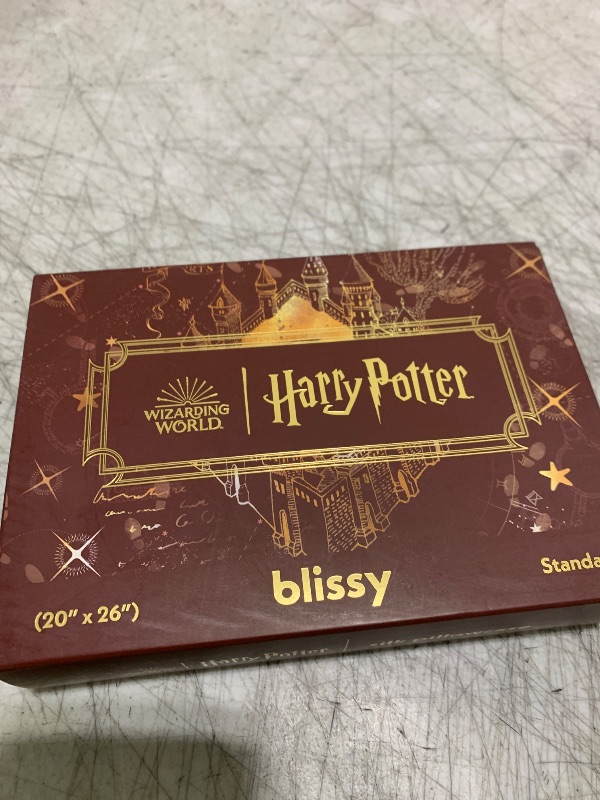 Photo 1 of Blissy Silk Pillowcase - 100% Pure Mulberry Silk - 22 Momme 6A High-Grade Fibers - Silk Pillow Cover for Hair & Skin - Regular, Queen & King with Hidden Zipper (Standard, Harry Potter Marauder's Map)