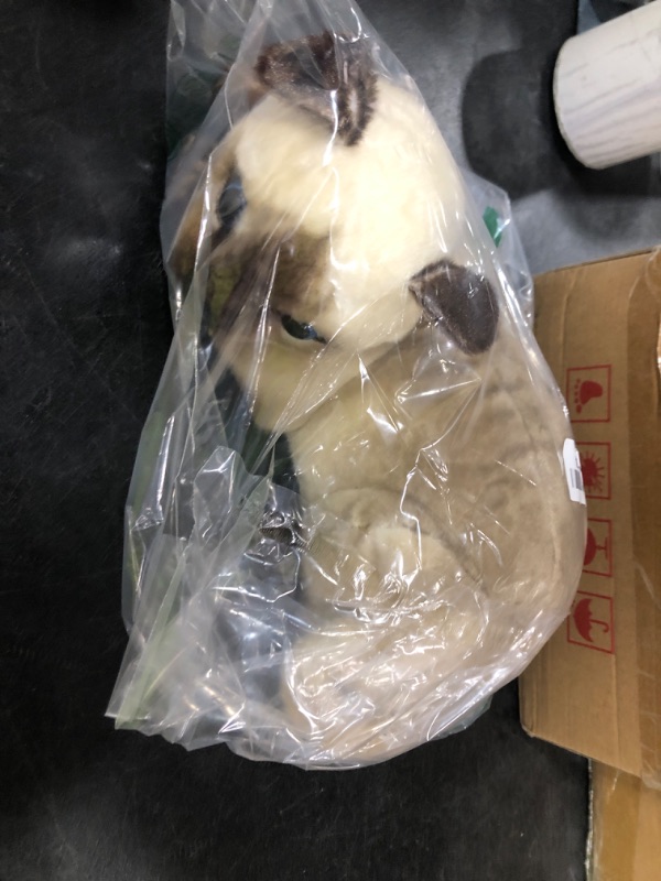 Photo 1 of GUDVES Siamese Cat Stuffed Animal, Shorthair Cat Realistic Plush Cat Stuffed Toys, Gift for Kids 12inches (A)