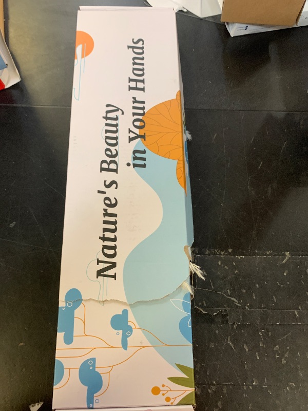 Photo 1 of 10 Pieces Dried White Italian Ruscus Eucalyptus - Real Preserved Ruscus Stem Branches, Real White Dried Floral Plant Pampas Green Leaves Bundle for Boho Wedding Party, Home Decor, Vase Filler