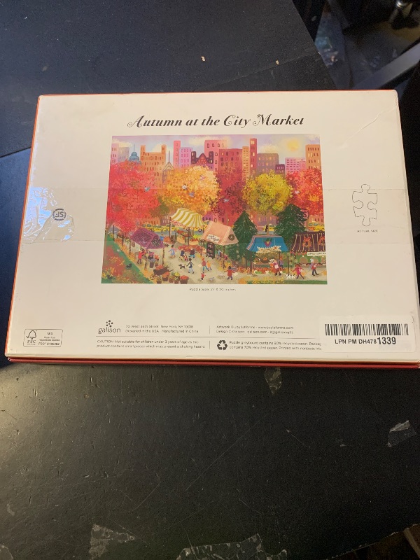 Photo 1 of 1000 piece puzzle gallsin