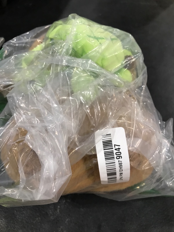 Photo 1 of EASYLR 12inch Cute Capybara Plush with Turtle Backpack, Soft Capybara Plushie Toy Doll Pillow Birthday for Kids (with Bag)