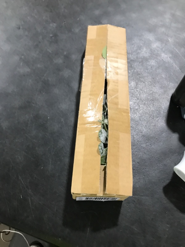 Photo 1 of 10 Pcs Mixed Eucalyptus Leaves Stems Bulk Artificial Silver Dollar Picks Faux Branches for Vase Bouquets Floral Arrangement Wreath Farmhouse Rustic Greenery Decor