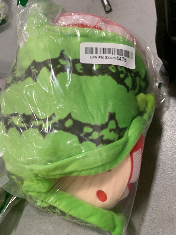 Photo 1 of Nocciola Hide and Seek Plush Dog Toys, Watermelon Interactive Toy for Small Dogs, Green Puppy Puzzle Squeaky Toys with Crinkle Papers for Boredom, Dog Nosework Toy for Medium Pet