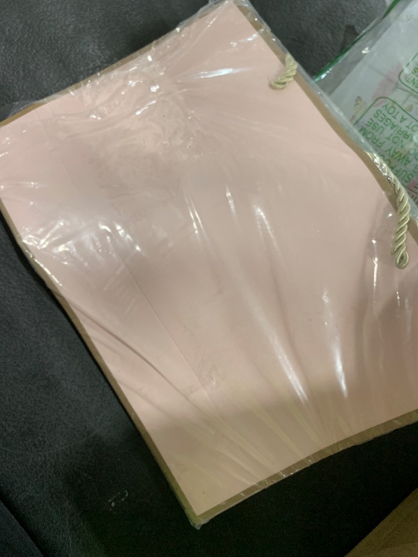 Photo 1 of PINK GIFT BAGS 