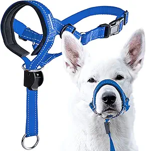 Photo 1 of GoodBoy Dog Head Halter with Safety Strap - Stops Heavy Pulling On The Leash - Padded Headcollar for Small Medium and Large Dog Sizes - Head Collar Training Guide Included (Size 3, Blue