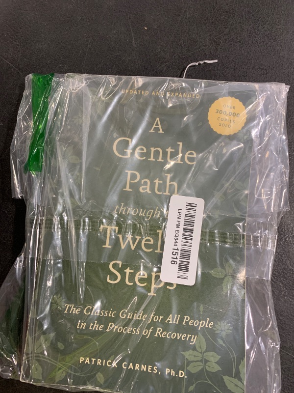 A Gentle Path through the Twelve Steps: The Classic Guide for All ...