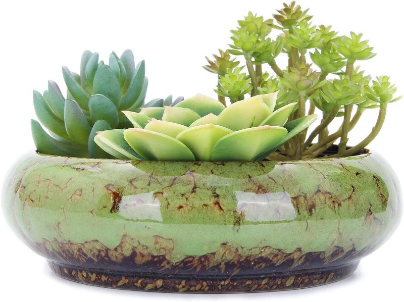 Photo 1 of VanEnjoy 7.3 inch Round Large Shallow Succulent Ceramic Glazed Planter Pots with Drainage Hole, Bonsai Pots Garden Decorative Cactus Stand Flower Container (green)