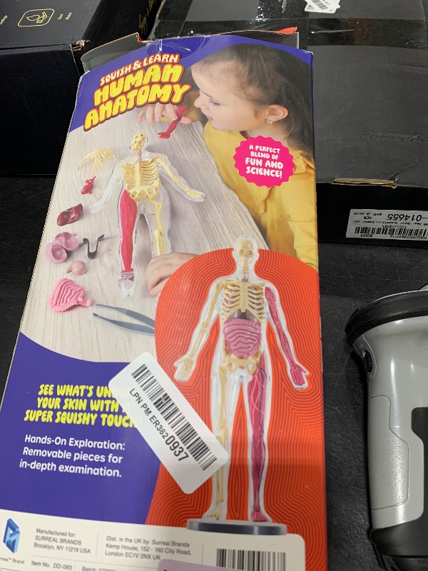 Photo 1 of Dan&Darci Human Anatomy Squishy Body Model - Science Kits for Kids Ages 4-8 - STEM Toys for 4 5 6 7 8 Year Old Boy Birthday Gift - Learning Educational Toys for Ages 5-7 Boys Gifts - Skeleton Parts