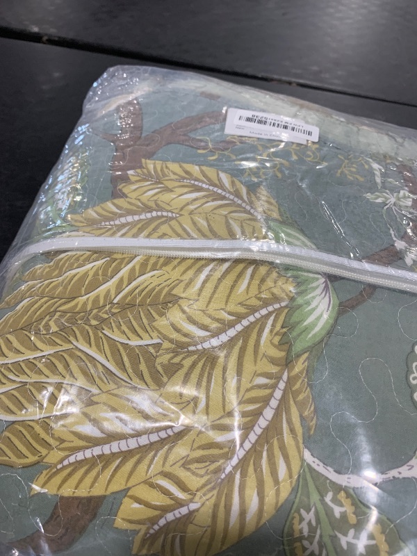 Photo 1 of Travan 3-Piece Quilt Set Quilted Bedspread Cotton Coverlet Set Floral Printed Oversized Quilted Bedding Set with Shams for All Season, Green Vine, Queen Size